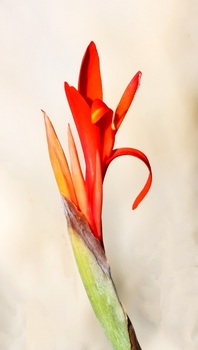 F 058A